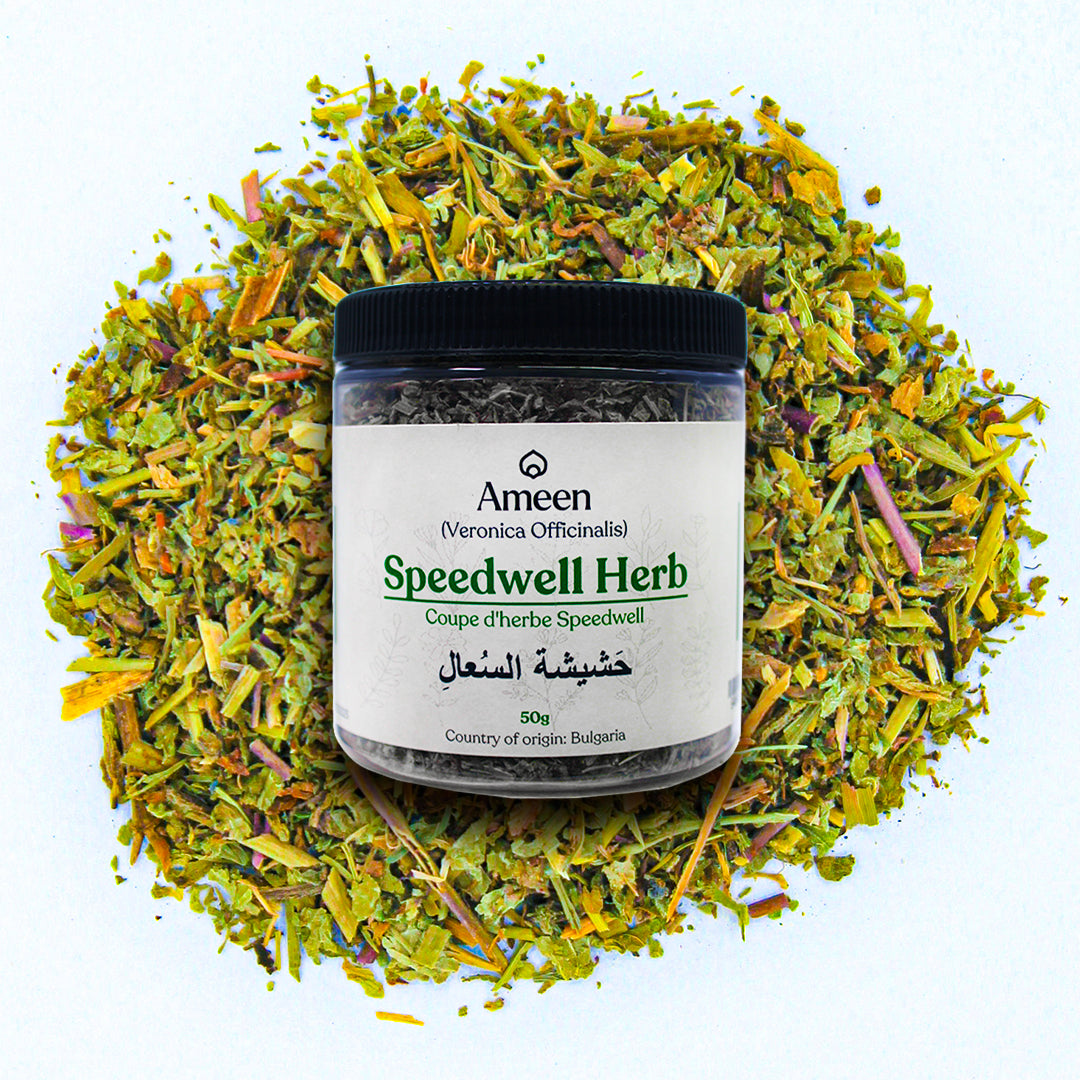 0000s_0013_Speedwell